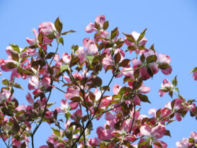 ゴールデンウィーク休業のご案内